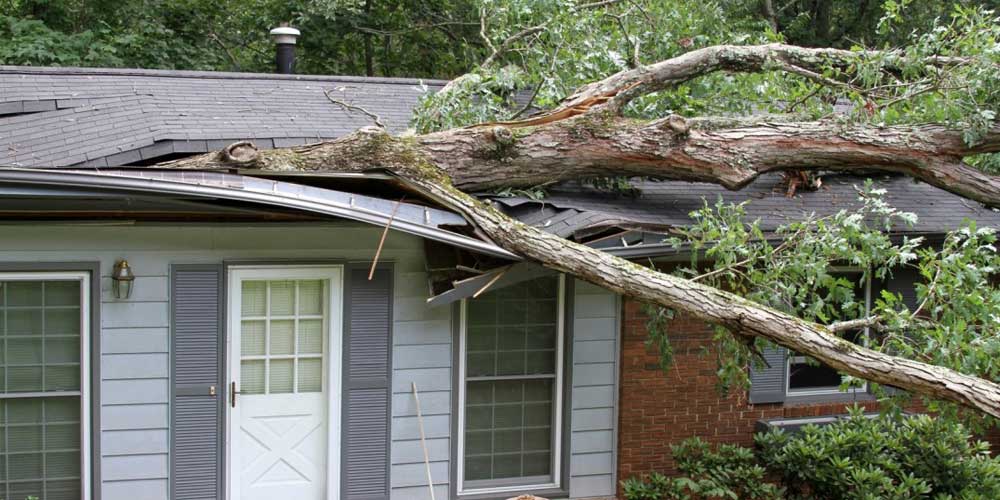 Savannah Storm Damage Repair Experts
