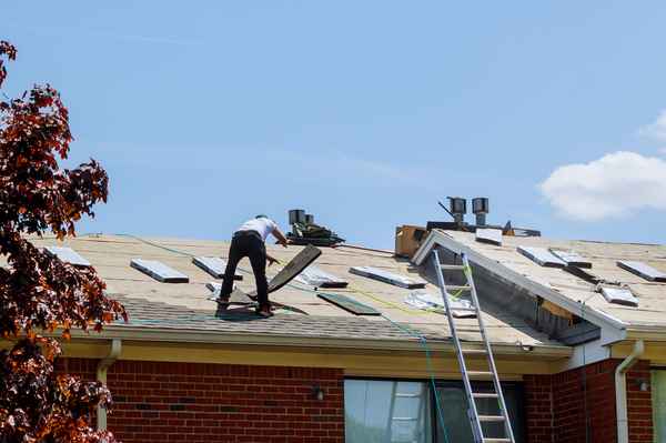 roof replacement cost in Savannah